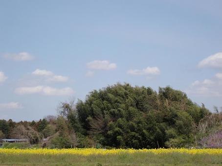 【春】田舎の風景 【春】田舎の風景の写真