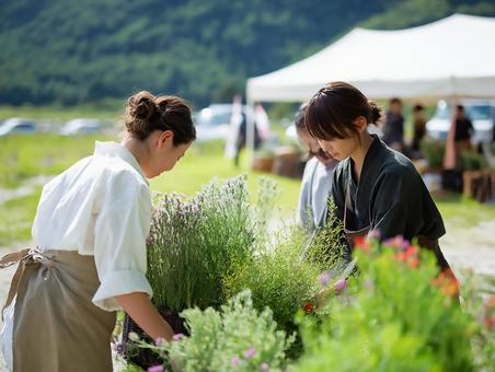 ファーマーズマーケットでハーブを並べる ファーマーズマーケットでハーブを並べるの写真