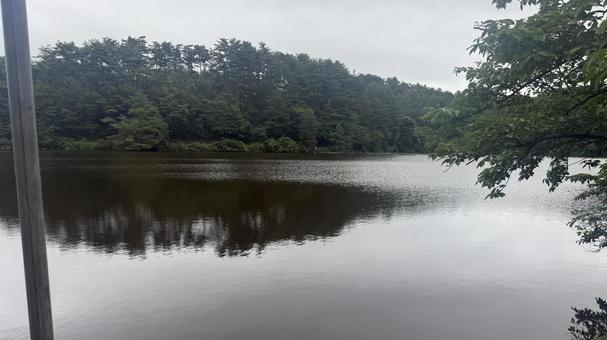 新潟県新発田市の池2 新潟県新発田市の池2 池,沼,新潟県の写真素材