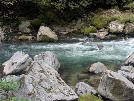 白く渦巻く雄川の清流と大きな岩 白く渦巻く雄川の清流と大きな岩 雄川の滝,渓流,清流の写真素材