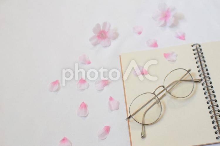 開いたノートに桜の花びらが広がっている② 桜,花びら,ノートの写真素材