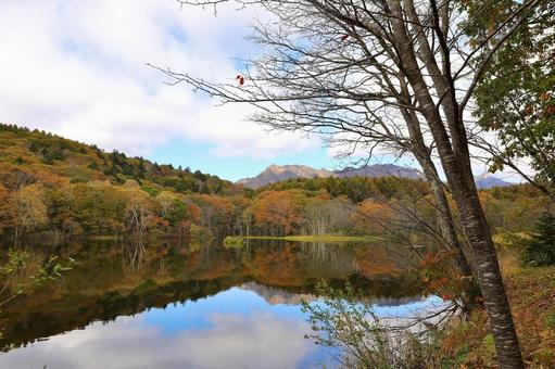 飯綱高原小鳥ケ池 湖,風景,山の写真素材