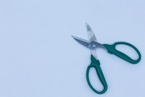 Photo, pruning scissors, hardware, scissors, 
