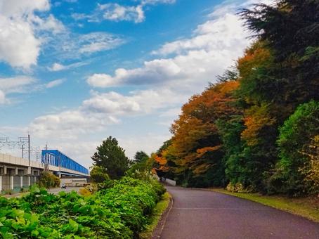 紅葉する葛西臨海公園と京葉線の陸橋 鉄道,陸橋,紅葉の写真素材