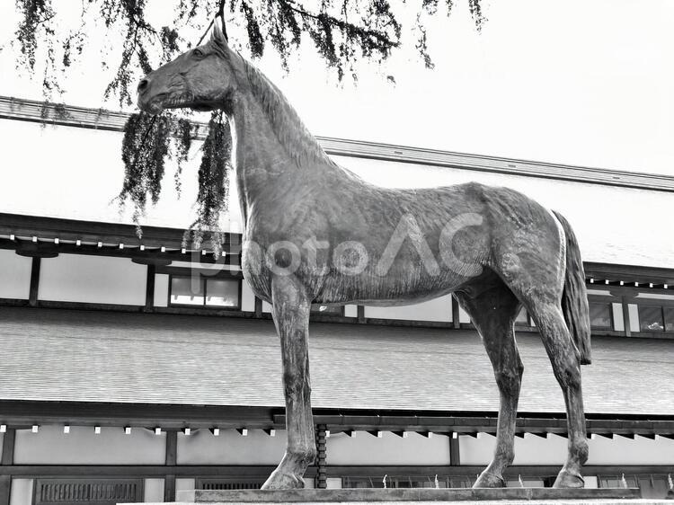 軍馬の像　白黒 モノクロ,愛馬の日,慰霊祭の写真素材