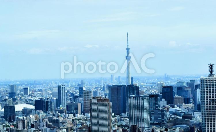 東京スカイツリー、東京の街並み、都庁から見た 東京,街並み,町並みの写真素材
