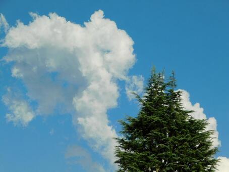 考えごと中 考えごと中の写真