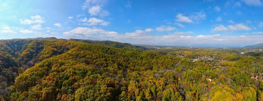 北軽井沢の秋景色 山並み,高原,北軽井沢の写真素材
