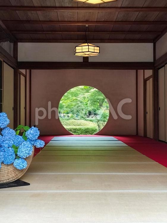 鎌倉　明月院の丸窓（悟りの窓）と紫陽花 明月院,悟りの窓,丸窓の写真素材