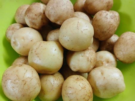 ジャガイモ ジャガイモ ジャガイモ,ポテト,野菜の写真素材