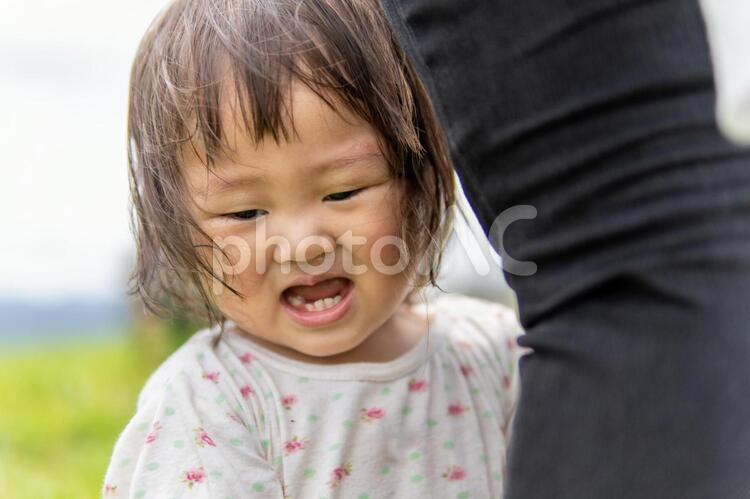 なにか怖いことがあったのか、母親の足にしがみつく子供 怖がる,不安,しがみつくの写真素材
