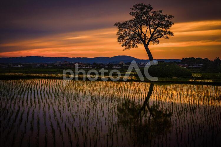 古宮土壇 古宮土壇,明日香村,夕焼けの写真素材