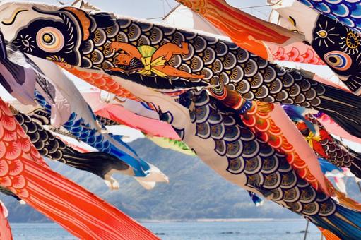 5月5日の海岸をおよぐ鯉登り 5月5日の海岸をおよぐ鯉登り 鯉登り,海岸,海の写真素材