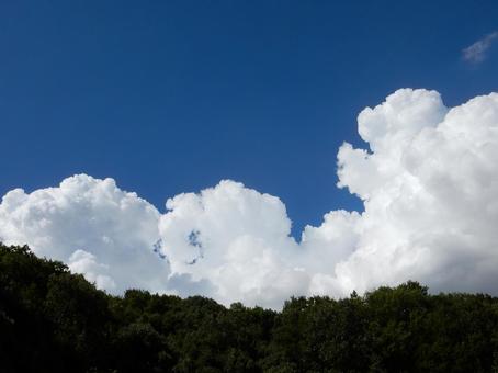 【風景写真】夏空 【風景写真】夏空の写真