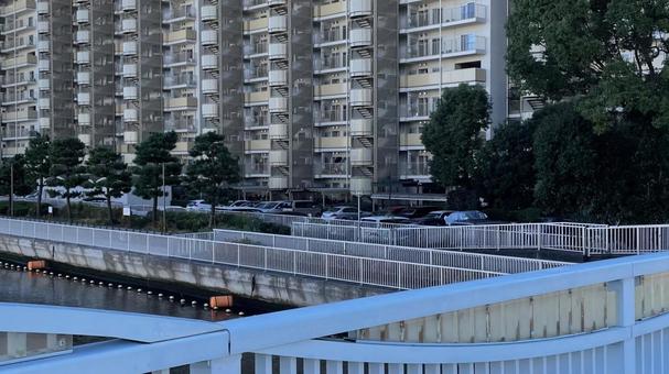 清澄の橋 清澄の橋の写真