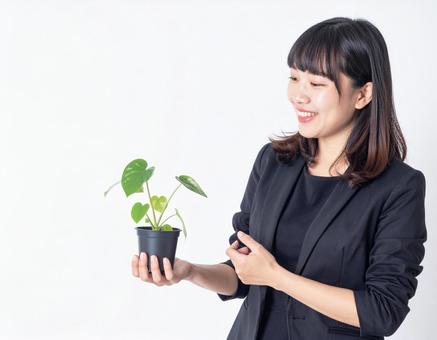観葉植物を手にするビジネスパーソン 観葉植物を手にするビジネスパーソンの写真