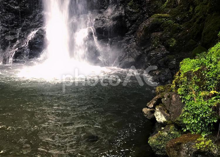 箕面の滝 滝,自然,ハイキングの写真素材