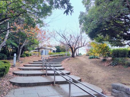 葛西臨海公園　階段 葛西臨海公園,手すり,通路階段の写真素材