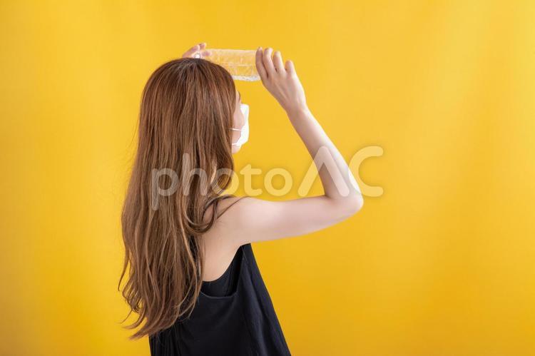 暑くて頭を冷やす女性　summer ペットボトル,暑さ,暑いの写真素材