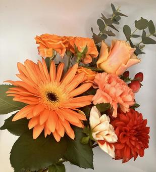 ガーベラと薔薇とカーネーションの花束 ガーベラ,花束,カーネーションの写真素材