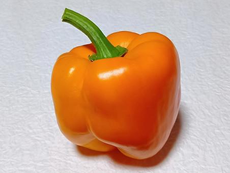 パプリカの写真