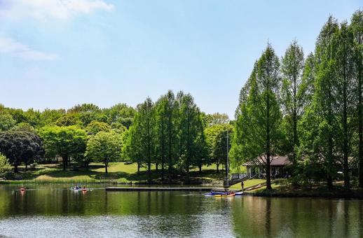 壬生町総合公園の池 壬生町総合公園の池 池,湖,沼の写真素材