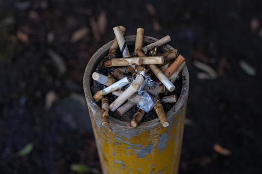 タバコの吸い殻 タバコ,吸い殻,汚いの写真素材