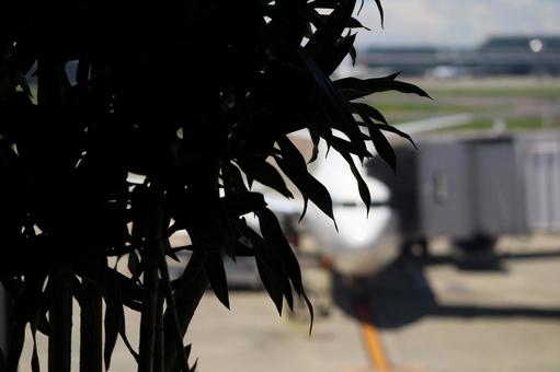 窓越しの空港風景と緑の影 空港,飛行機,航空機の写真素材