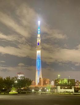 東京スカイツリー ライトアップ 夜景 東京スカイツリー ライトアップ 夜景の写真
