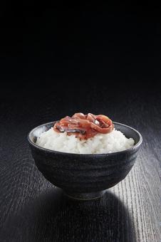 イカの塩辛と白ごはん イカの塩辛と白ごはんの写真