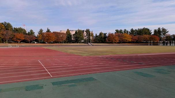 陸上競技場のトラック 陸上部,トラック,ランニングの写真素材