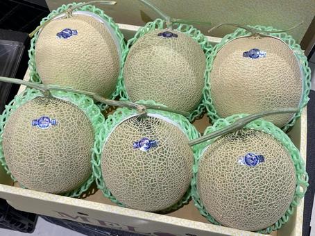 マスクメロン マスクメロン マスクメロン,メロン,果物の写真素材