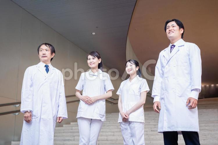 病院で働く医者と看護師（4人） 医者,看護師,病院の写真素材