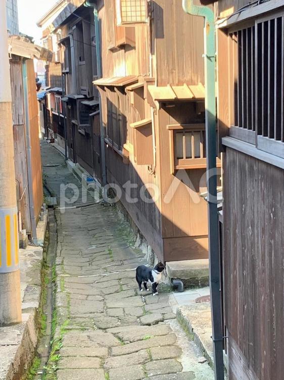 宿根木 宿根木,新潟,木造の写真素材