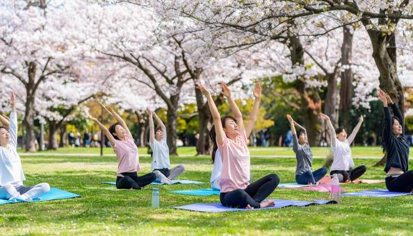 公園ヨガをする日本人の女性たち 公園ヨガをする日本人の女性たちの写真
