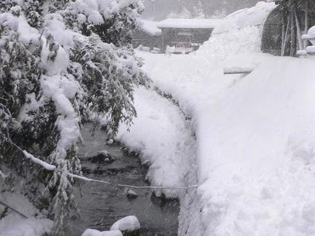 大雪で木に積もった雪3 大雪で木に積もった雪3 冬,大雪,雪の写真素材