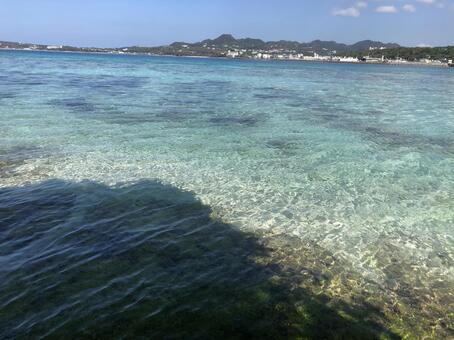 海 海の写真