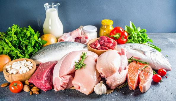 新鮮な食材の盛り合わせ 新鮮な食材の盛り合わせの写真