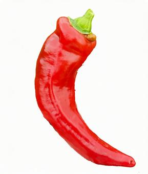 赤パプリカ 赤パプリカ,赤ピーマン,ピーマンの写真素材