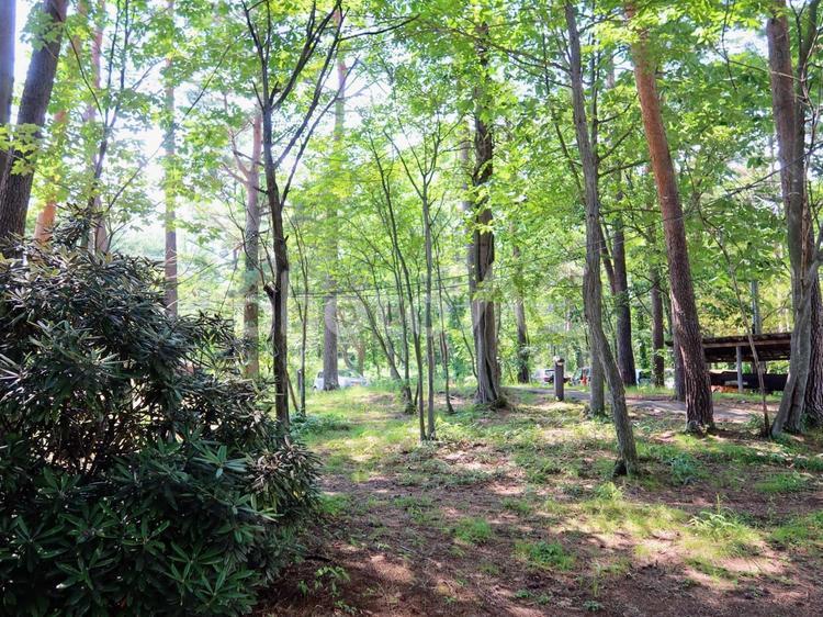 草津温泉 ベルツ通り 草津温泉,ベルツ通り,温泉街の写真素材