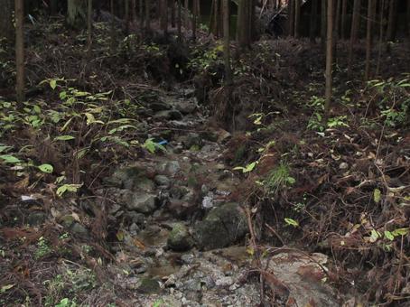 山中の小川 山中の小川の写真
