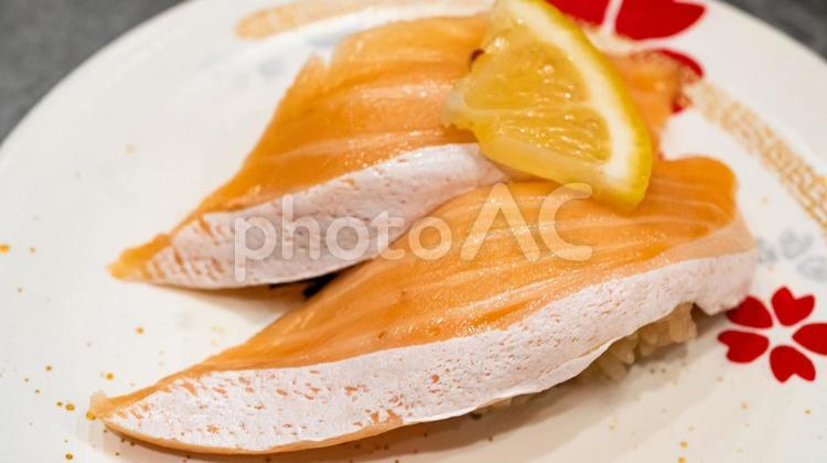 トロサーモンのにぎり寿司 トロサーモン,にぎり寿司,寿司の写真素材