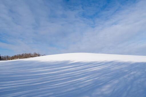 長く伸びる影が際立つ標茶の白一色の世界 青空,雪,丘の写真素材
