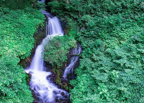 湧水の滝の写真