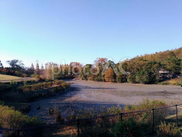 水が抜かれた池 於大公園,池,空っぽの写真素材