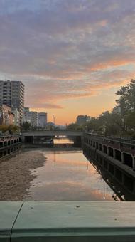 夕暮れの橋② 夕暮れの橋②の写真
