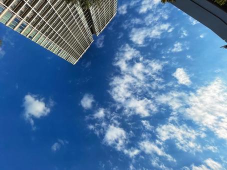 空を見上げて 景色,日本,空の写真素材