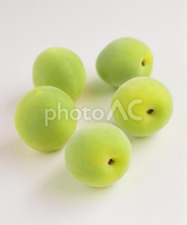 白背景に青い梅の実、フレッシュな青梅 梅,うめ,ウメの写真素材