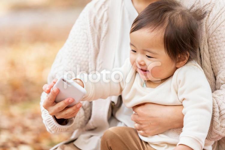 公園でスマホで遊ぶ親子 スマホ,赤ちゃん,親子の写真素材