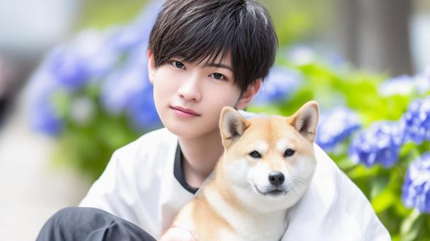 アジサイを背景に柴犬と一緒の若い男性 アジサイを背景に柴犬と一緒の若い男性の写真